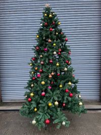 Nativity The Musical !