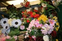 Flowers &amp; Foliage